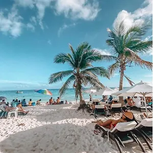 https://america-inn-estudios.quintano-roohotels.com